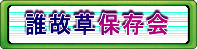 �N�̑��ۑ��� 