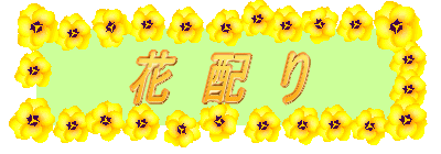 ԁ@z@ 